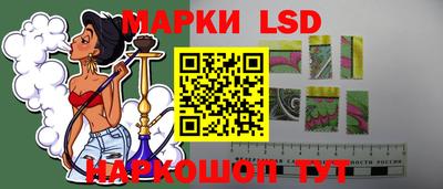 крисы Моздок