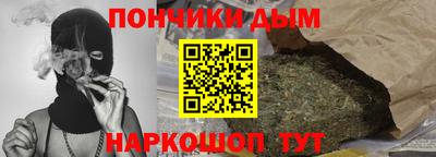 крисы Моздок