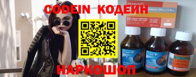 крисы Моздок