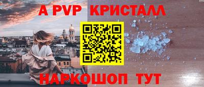 крисы Моздок