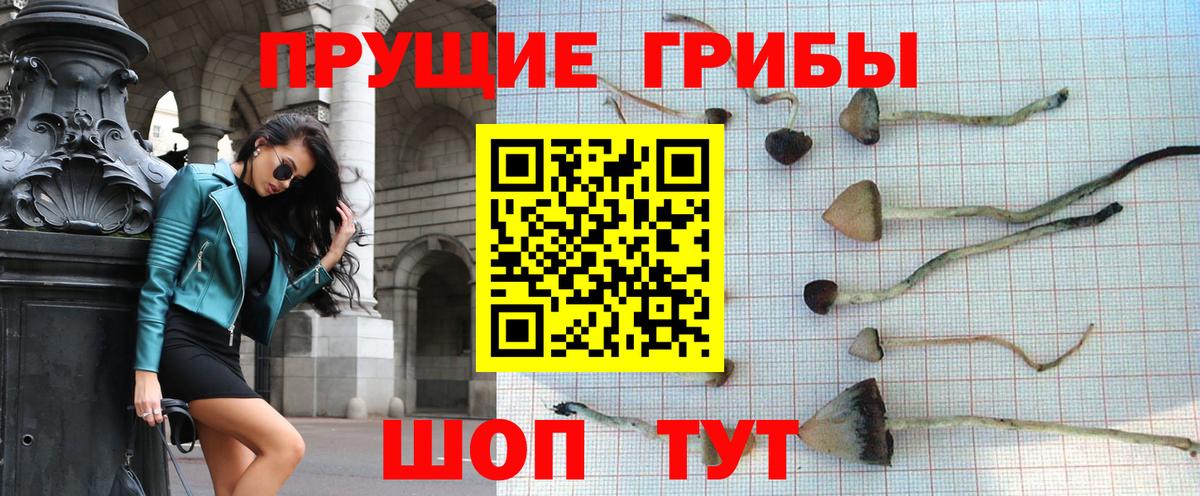 Псилоцибиновые грибы Magic Shrooms Новокуйбышевск
