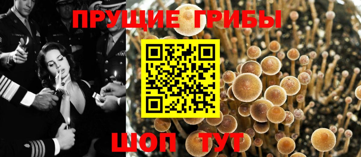 Мефедрон кристаллы  Cocaine  Марихуана  Вход с VPN  ГАШ  Новокуйбышевск  ГАШ  NBOMe 
